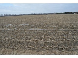 Property photo 5 - 173 +/- Acres Offered in 3 Tracts - Ohio Farmland
